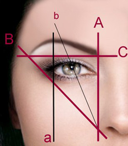 calcolo sopracciglia